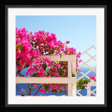 Framed Santorini Blooms Print