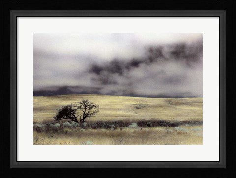 Framed Limantour Marsh Print