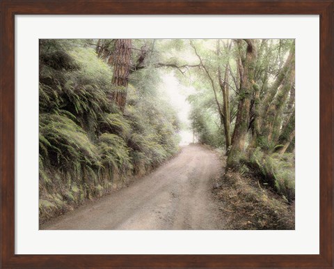 Framed Lost Coast Road Print