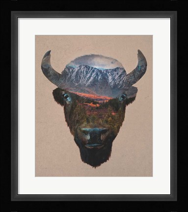 Framed Bison Peak Print