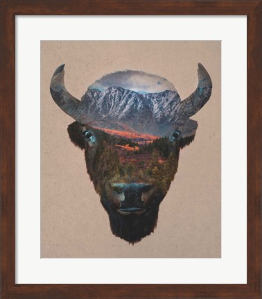Framed Bison Peak Print