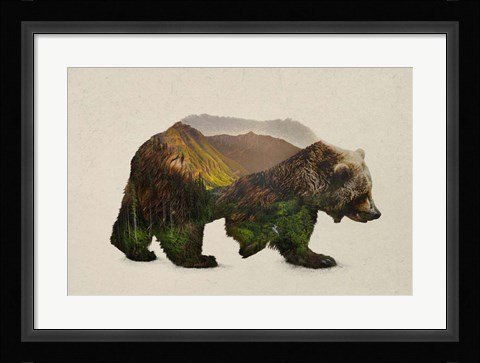 Framed North American Brown Bear Print