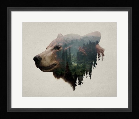Framed Pacific Northwest Black Bear Print