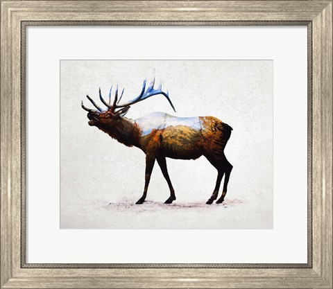 Framed Rocky Mountain Elk Print