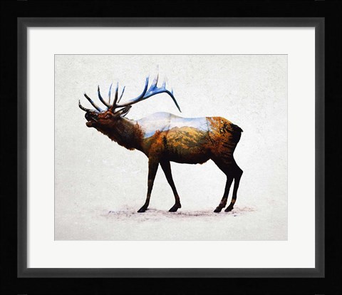 Framed Rocky Mountain Elk Print