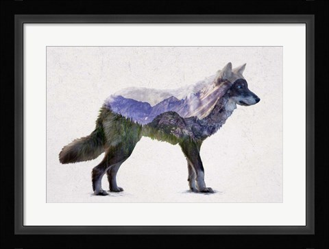 Framed Rocky Mountain Grey Wolf Print