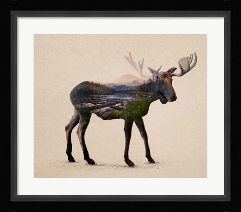 Framed Alaskan Bull Moose Print