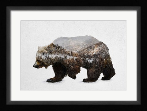 Framed Kodiak Brown Bear Print