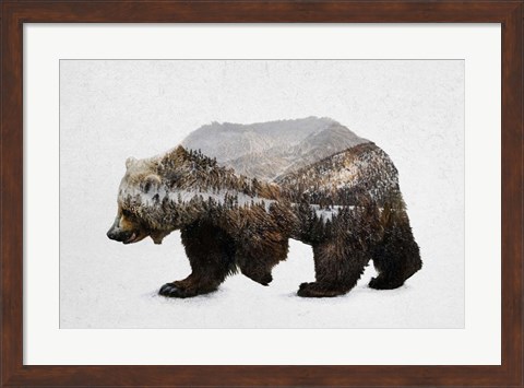 Framed Kodiak Brown Bear Print