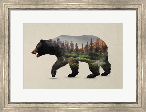 Framed North American Black Bear Print