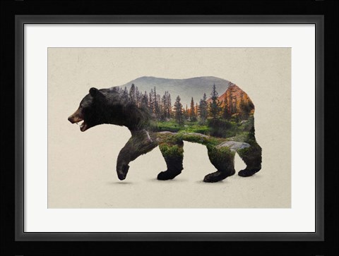 Framed North American Black Bear Print