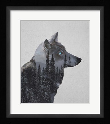 Framed Winter Wolf Print