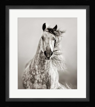 Framed Caballo de Andaluz Print