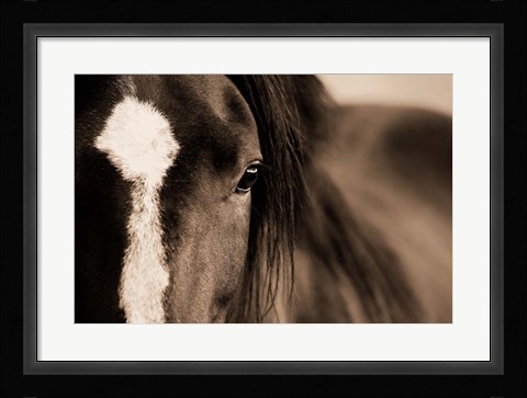 Framed Dark Eyes Print