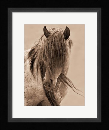 Framed Freedom Print