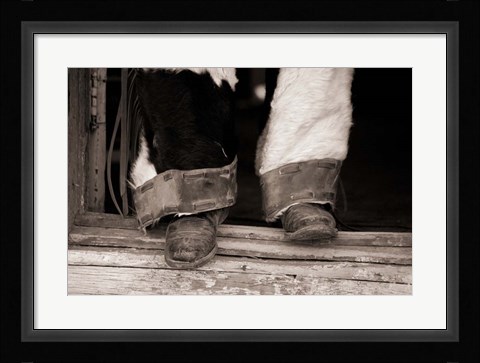 Framed Furry Chaps Print