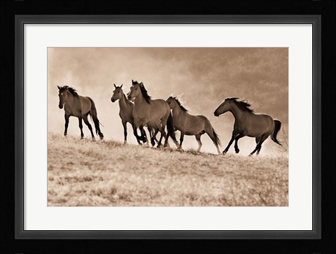 Framed Kicking Dust Print