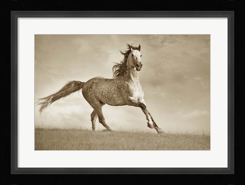 Framed Like the Wind Print