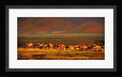 Framed Montana Dreaming Print