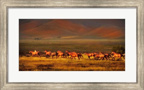 Framed Montana Dreaming Print