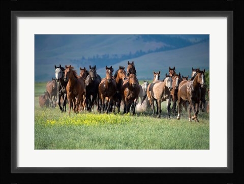Framed Montana Thunder Print