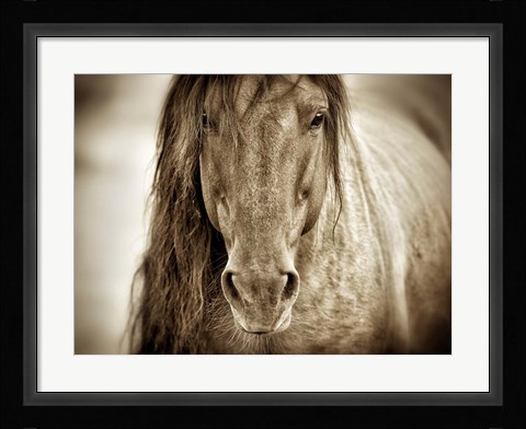 Framed Mustang Sally Print