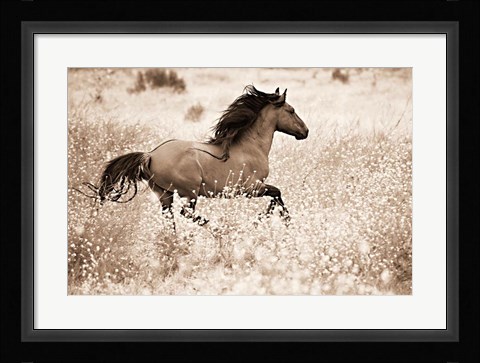 Framed Running Free Print