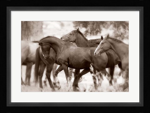 Framed Herd Print