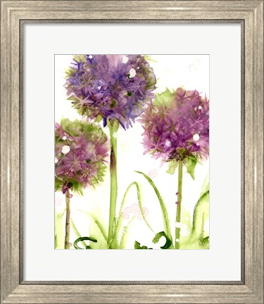 Framed Alliums Print