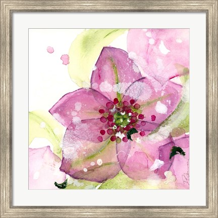 Framed Pink Flower in the Snow Print