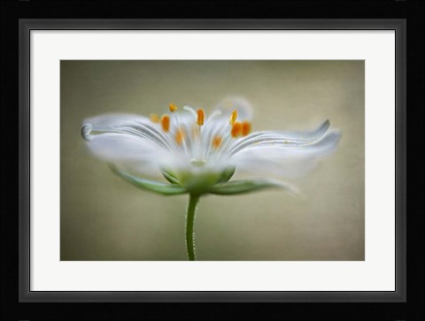 Framed Summer Swirl Print