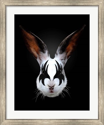 Framed Rabbit Rocks Print