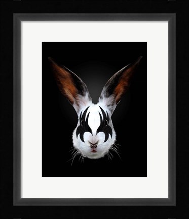 Framed Rabbit Rocks Print