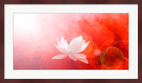 Framed Lotus in Flames Print