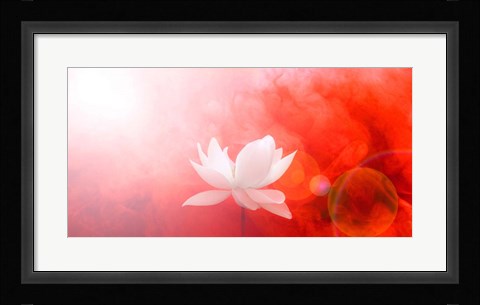 Framed Lotus in Flames Print
