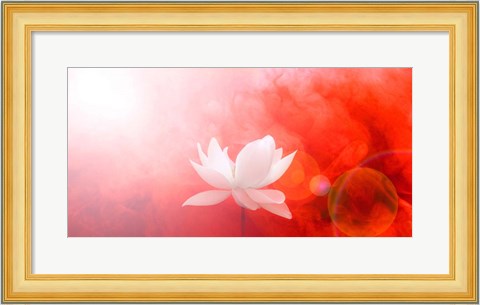 Framed Lotus in Flames Print