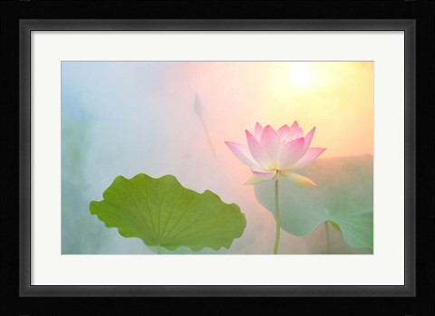 Framed Serenity Print