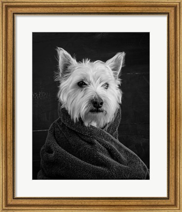 Framed Portrait of a Westy Dog Print