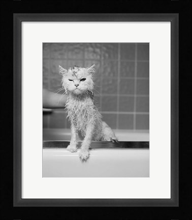 Framed Bert's Bath Print