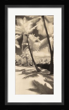 Framed Palm Shadows II Print