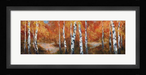 Framed Autumn Birch II Print