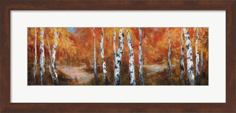 Framed Autumn Birch II Print