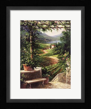 Framed Chianti Vineyard Print
