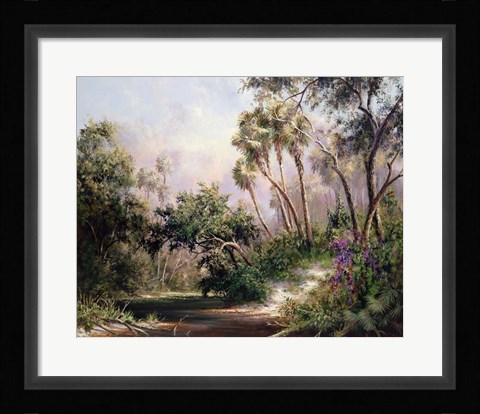 Framed Myakka River Scene Print
