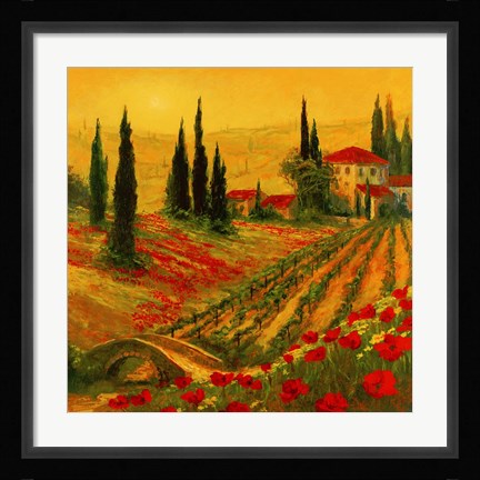 Framed Poppies of Toscano I Print