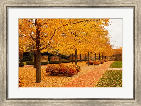 Framed Fall Walkway Print