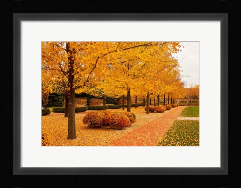 Framed Fall Walkway Print