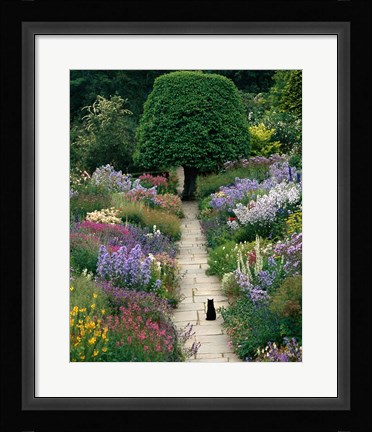 Framed Garden Cat Print