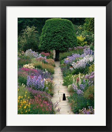 Framed Garden Cat Print