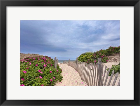 Framed Rose Path Print